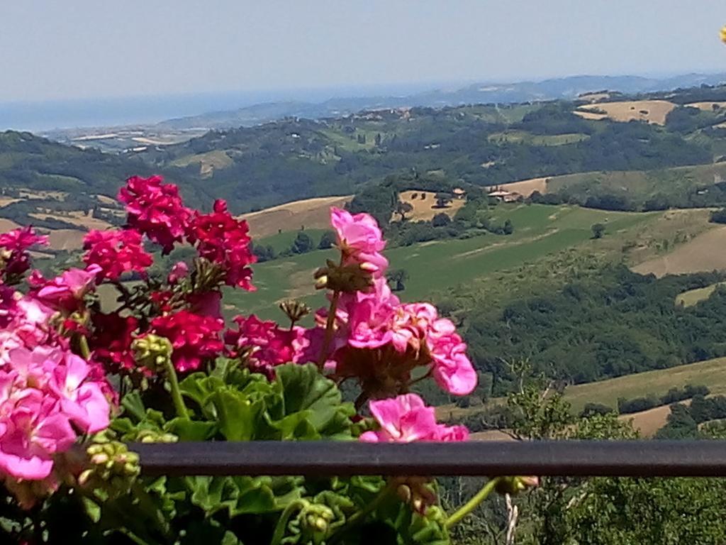 Albergo Diffuso - Il Poggetto Tra Urbino & San Marino Ngoại thất bức ảnh
